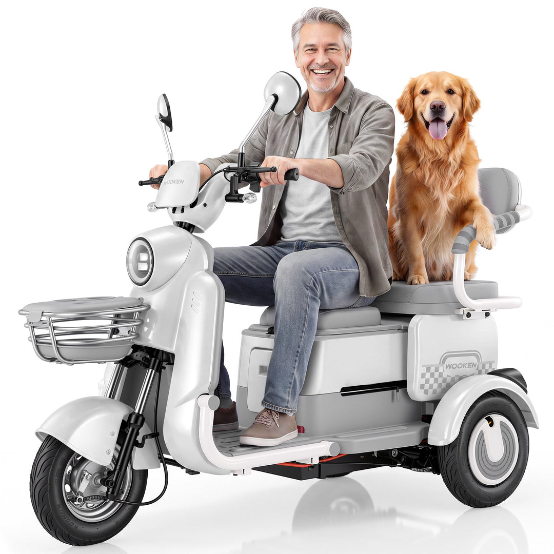 Ebike-1 ANCHEER