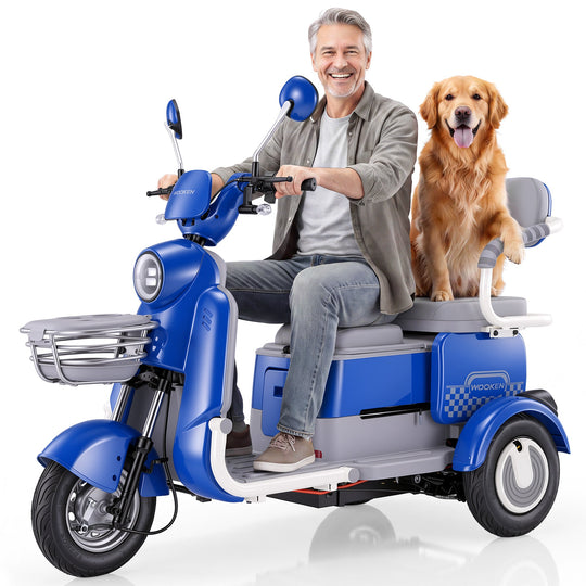 Ebike-1 ANCHEER