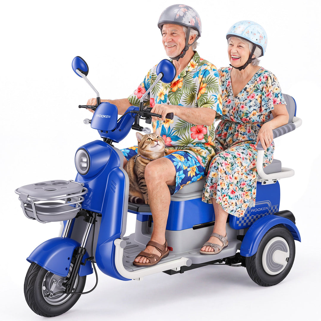 Ebike-1 Wooken