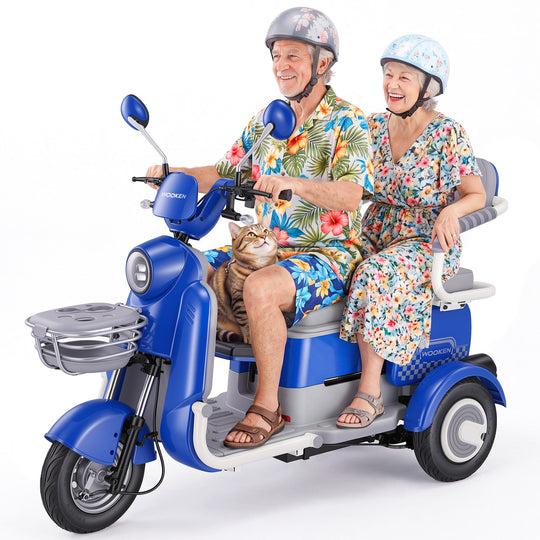 Ebike-1 Wooken