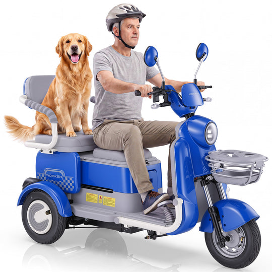 Ebike-1 Wooken