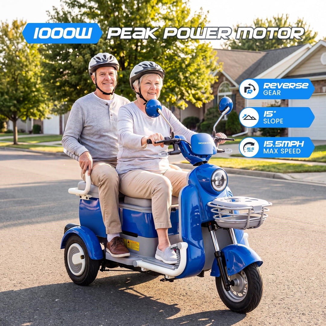 Ebike-1 Wooken