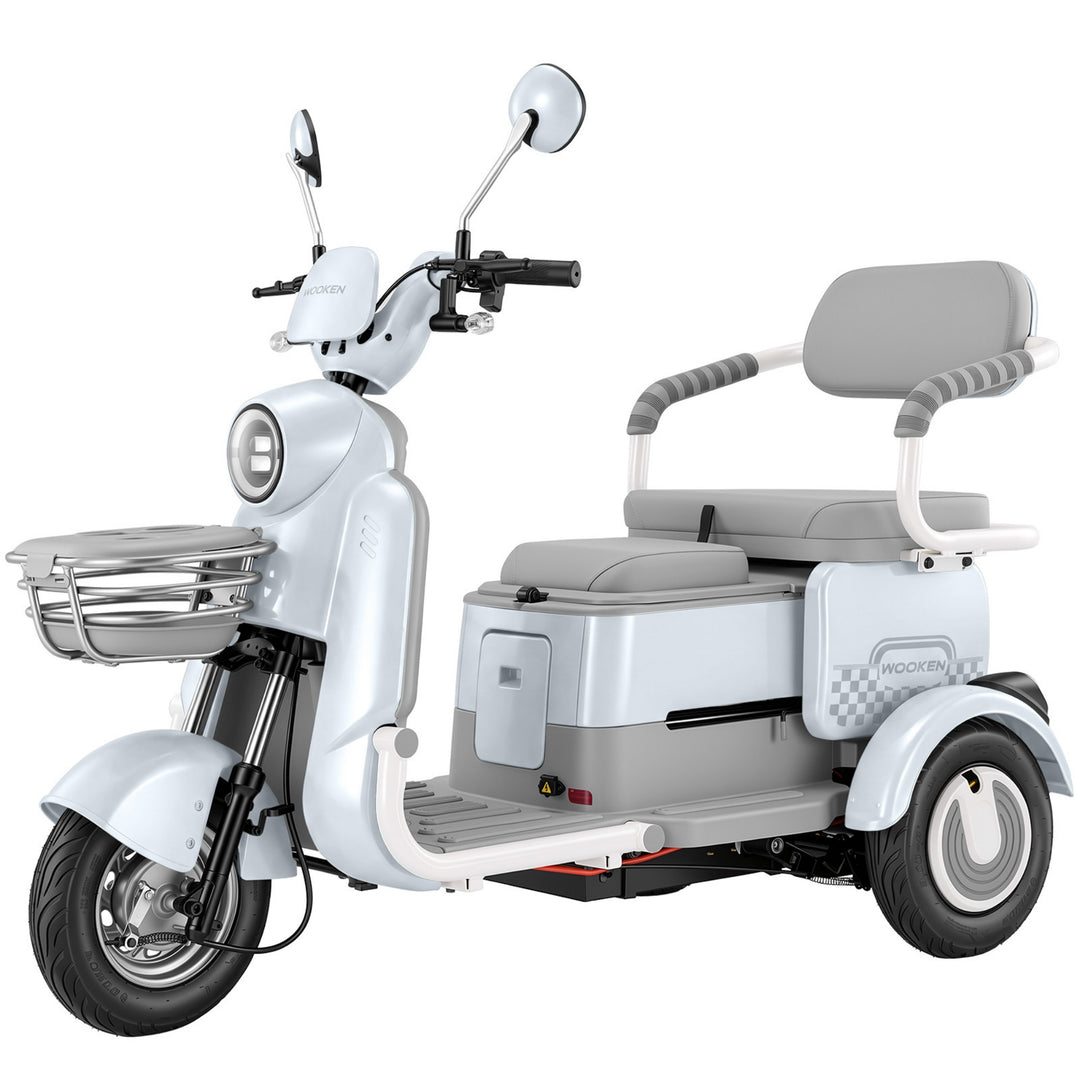 Ebike-1 Wooken