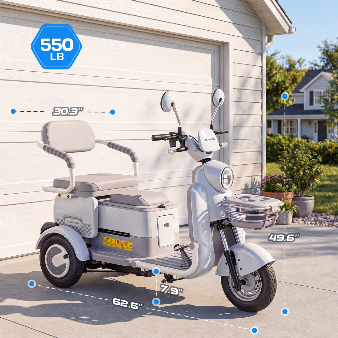 Ebike-1 Wooken