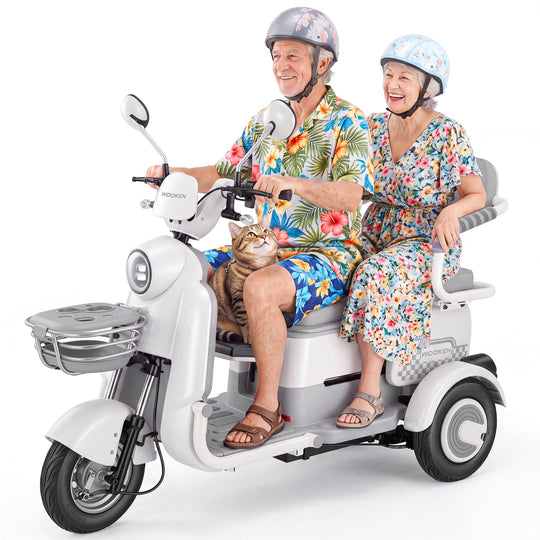 Ebike-1 Wooken