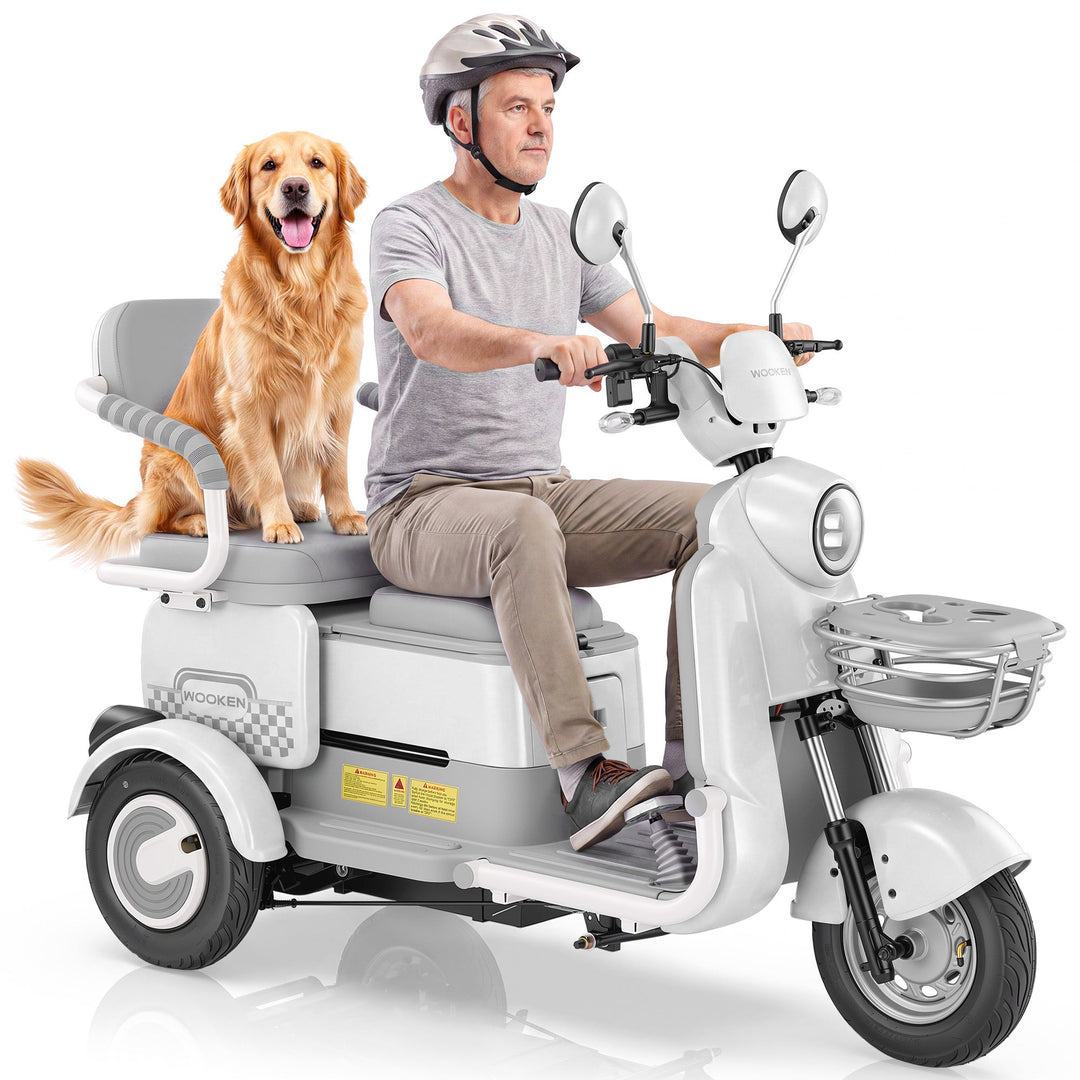 Ebike-1 Wooken