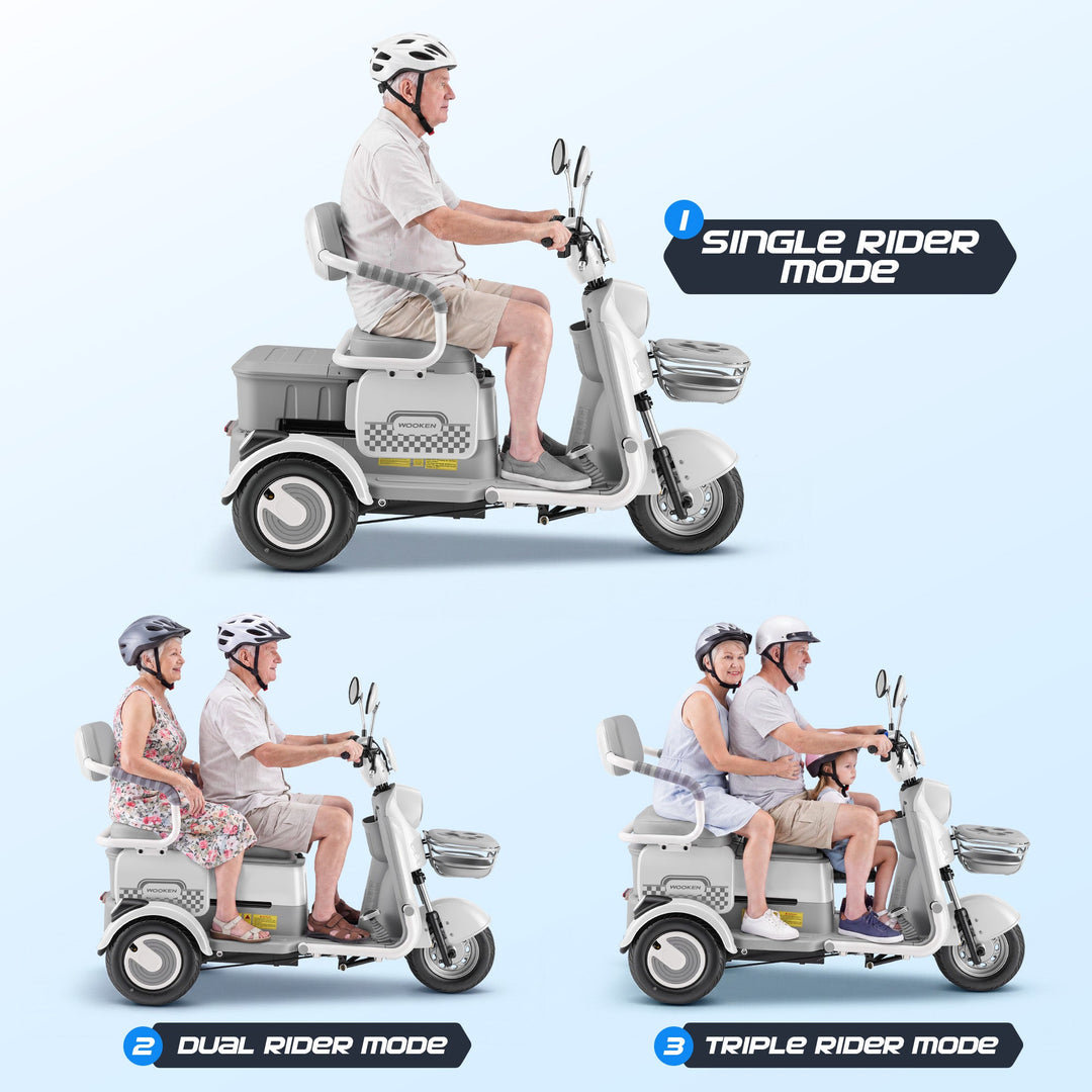 Ebike-1 Wooken
