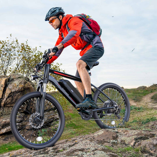 TotGuard AERVA 27.5-Inch Electric Bike Wooken