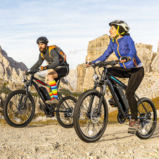 TotGuard AERVA 27.5-Inch Electric Bike Wooken