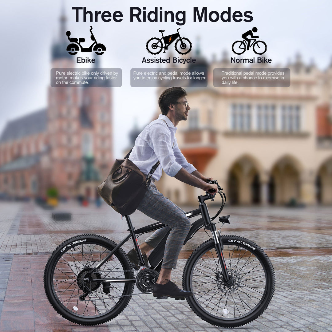 TotGuard AERVA 27.5-Inch Electric Bike Wooken