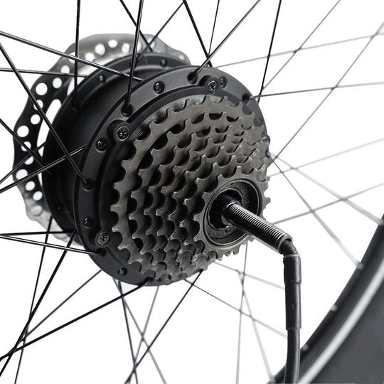 TotGuard Electric Bike Rear Wheels - TotGuard
