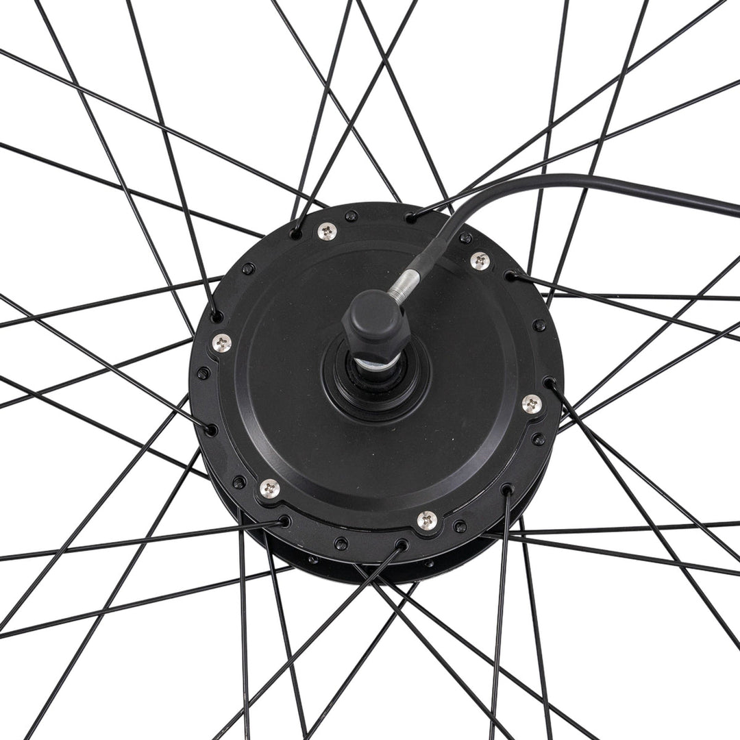 TotGuard Electric Bike Rear Wheels - TotGuard
