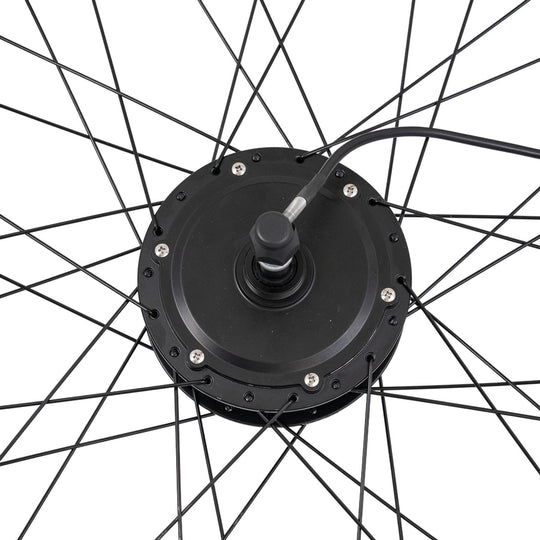 TotGuard Electric Bike Rear Wheels - TotGuard