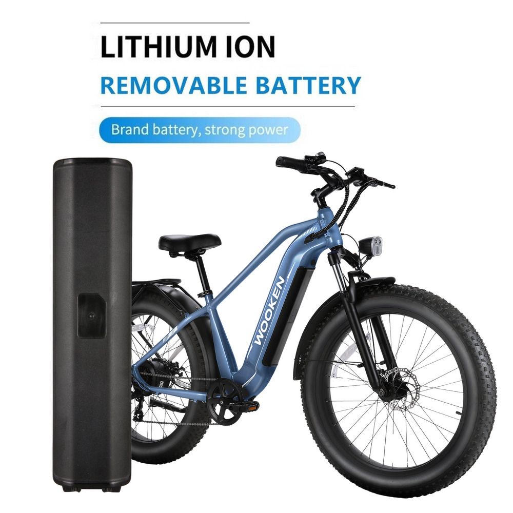 VIVI Electric Bike Battery For ACE01 & ACE07 Ebike Wooken